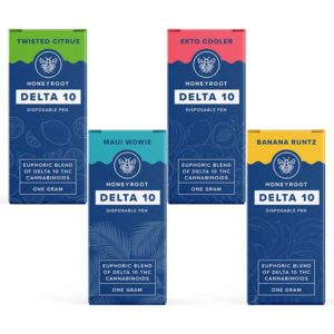 HoneyRoot Wellness Delta 10 Disposables | 1g